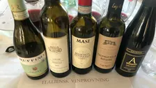 Vinprovning Malmö med Italienska viner 27/1 kll 18.00 år 2027