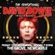 The Sensational David Bowie Tribute Band