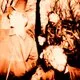 Scaler - Early Halloween Show