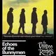 Echoes Of The Bunneymen