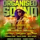 Big Condo Records Presents Organised sound 12