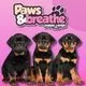 Puppy yoga Birmingham