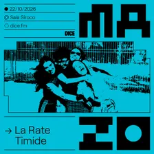 La Rate Timide en MAZO