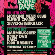 Future Days w/ Warmduscher, Adult DVD, Gans + more