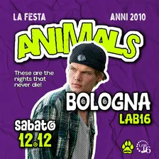 ANIMALS a Bologna