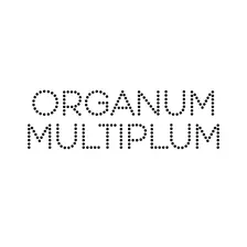 Organum Multiplum – James McVinnie & Tristan Perich live at Basilica di Santa Maria in Aracoeli