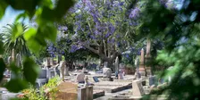 Field of Mars Cemetery History Tours with Ryde District Historical Society