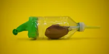 Saturday Create: Biology (Ages 8-12)