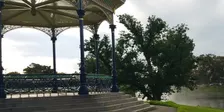 Guided Walk - Elder Park, Riverbank Precinct & Helen Mayo Park