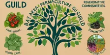 Monthly bay area permaculture guild potlucks!