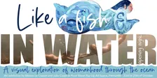 Like A Fish In Water Exhibition