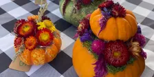 Dried Flowers Pumpkin Arrangement Class