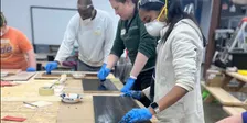 Sanding, Staining, & Sealing Wood with Dani Fraley