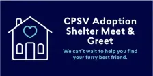 Adoption Shelter- Meet and Greet (290826-301126)