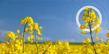 Argus Australia Fossil to Future Fuels Forum 2026