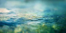 An Introduction to Permaculture Series: Water