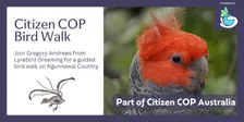 Bird Walk Canberra - Citizen COP 2026