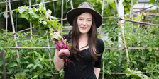 Climate resilient and water efficient gardens