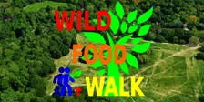 October Hampstead Heath (London) Wild Food Foraging/ Foragers Walk.