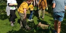 Gardening for Butterflies