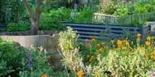 Gardening Workshop - Dig into Healthy Ageing with LiveUp