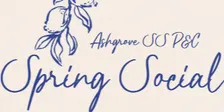 Spring Social