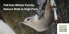 December Birding Walk with the High Park Nature Centre