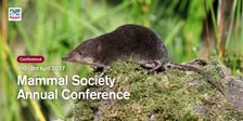 Mammal Society Annual Conference 2027