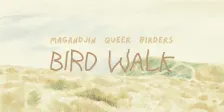 Archerfield Wetlands Bird Walk