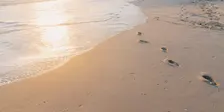 Coastal Pilgrim Walk: South Beach, Fremantle