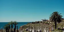 Walking history tour of Waverley Cemetery