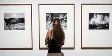 Art in Focus | NEW26