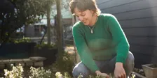 Urban Nature Stewards Salisbury: Living cooler, greener and wilder for nature