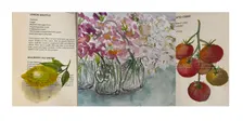 Introduction to Watercolours (November)