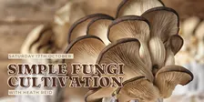 Simple Fungi Cultivation with Heath Reid
