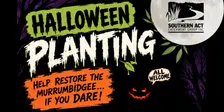 Halloween Planting Day! Restoring the Murrumbidgee (Saturday October 31st)