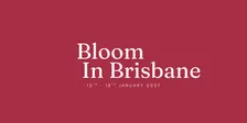 Bloom In Brisbane