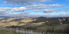 Piedmontese Wine Tasting with Vite Colte in Barolo