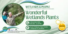 Wonderful Wetland Plants