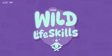 W.I.L.D Life Mental Health Skills Workshop