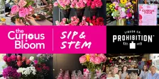 The Curious Bloom Social