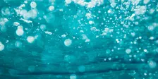 BATHED in SOUND (Nov 2026)