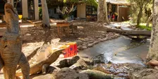Creative Workshop -  The Language of Clay.