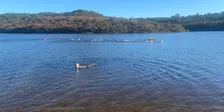 TRY-A-TRI Ocean Dragons - Northern Beaches Triathlon Club - 26/27 #1