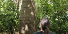 Mindfulness in the Gardens (2026)