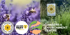 Pollinators at Home: HIVES, HABITAT & FORAGE