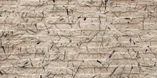 Bamboo paper-making and embossing workshop with artist Sarah Ong.