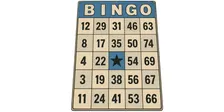 Bingo in the Hall  (55+)