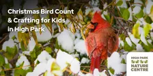 Christmas Bird Count and Crafting for Kids in High Park