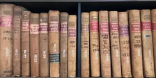 Cultural Heritage 1:1 Research Assistance